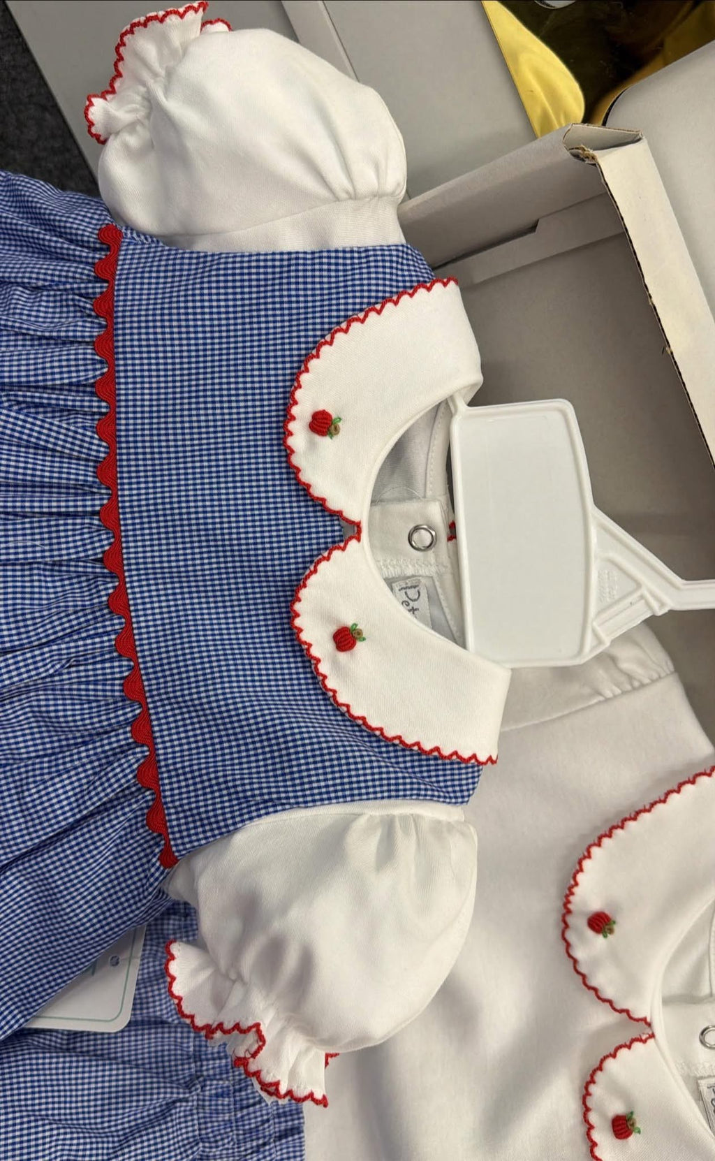 Apple skirt and top