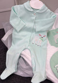 Mint Green Lamb Baby Grow Set ( blanket sold separately)