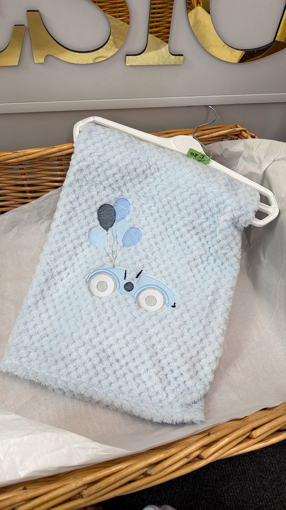Blue car blanket